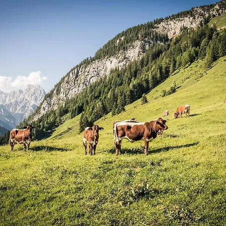 Haus Mitterbach Berglaune *